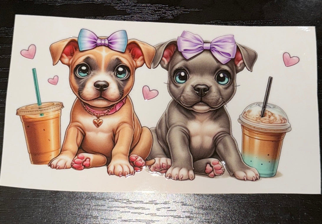 Pittie Puppies