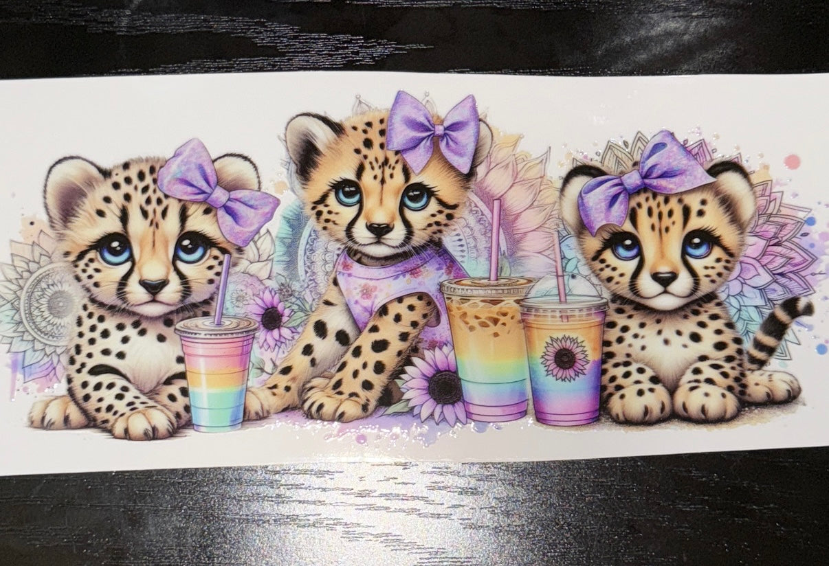 Cheetah Cubs