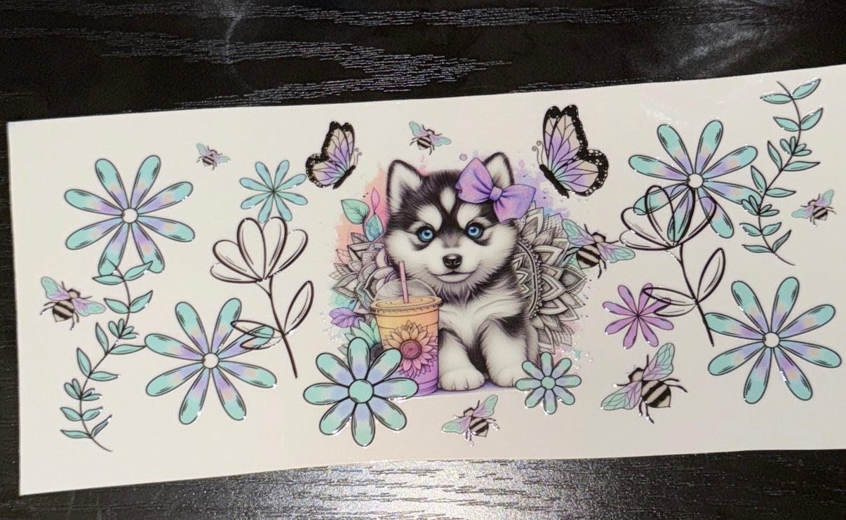 Husky Puppy
